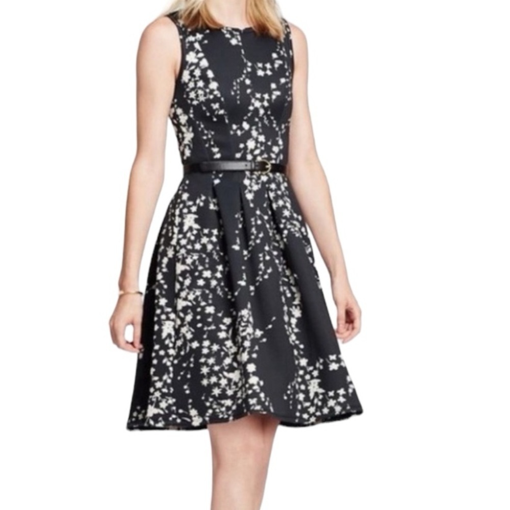 Ann Taylor Floral Scuba Fit-and-Flare Dress 0 Petite